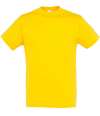 11380 Regent T-Shirt Gold colour image
